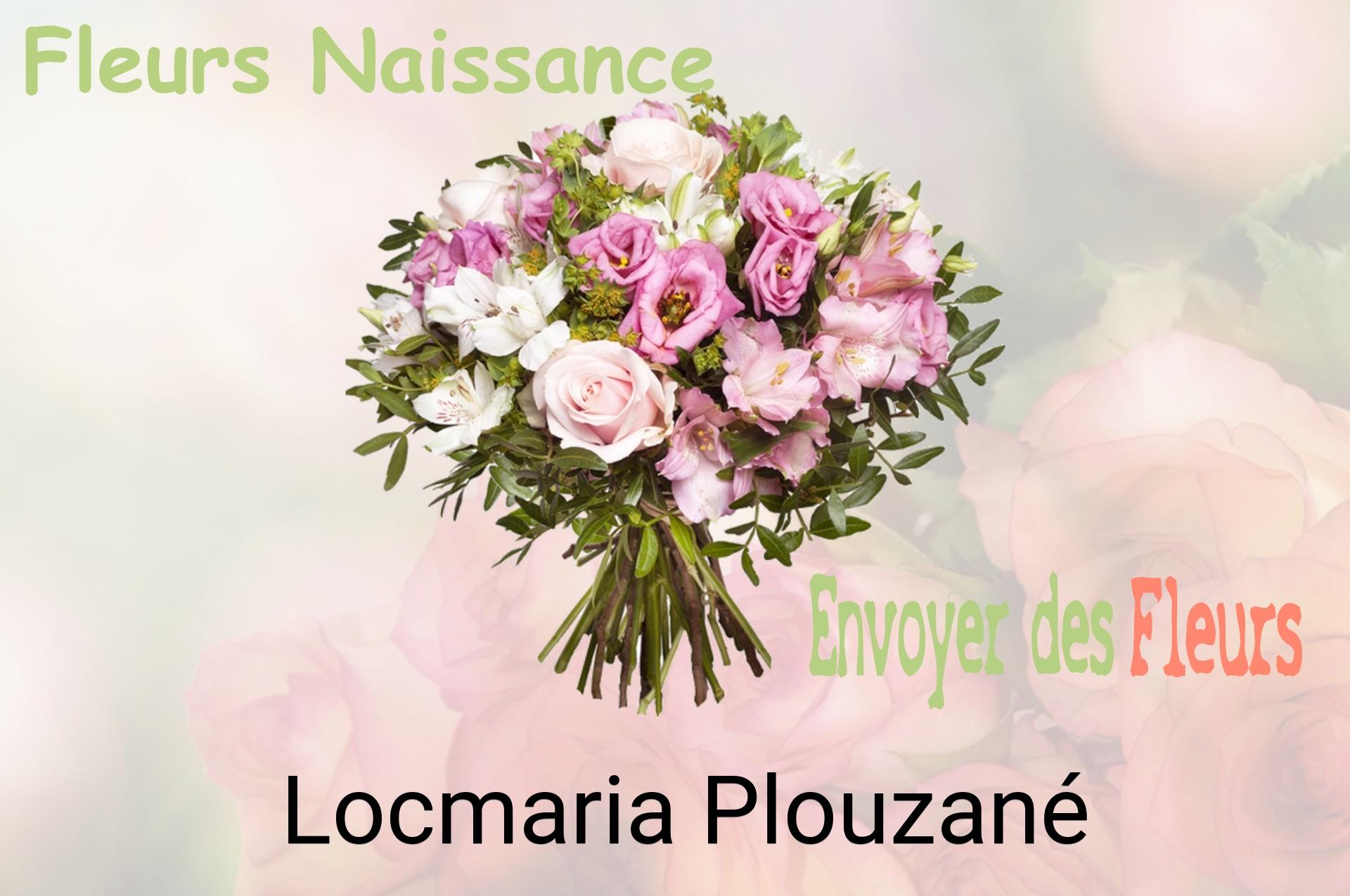 Bouquet de fleurs de naissance livré à Locmaria-Plouzané