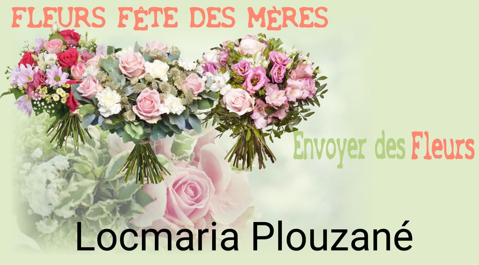 Bouquet de Fête des Mères livré à Locmaria-Plouzané